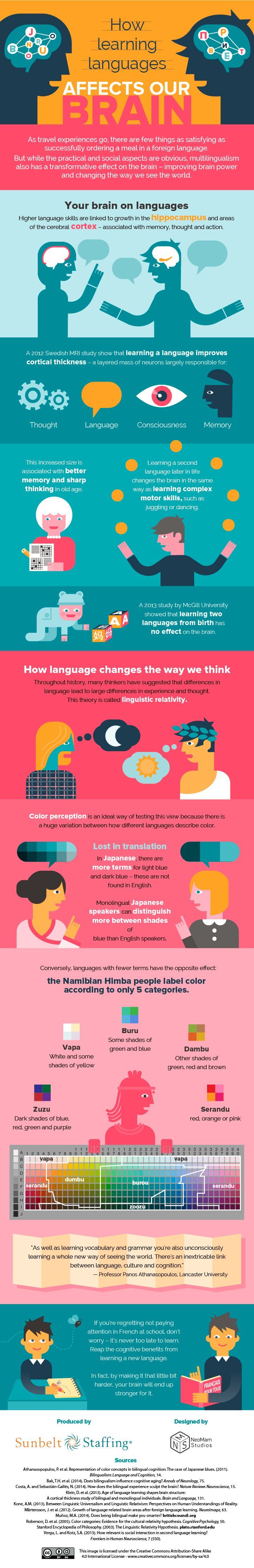 educational-infographic-how-does-learning-a-new-language-affect-your-brain-infographicnow