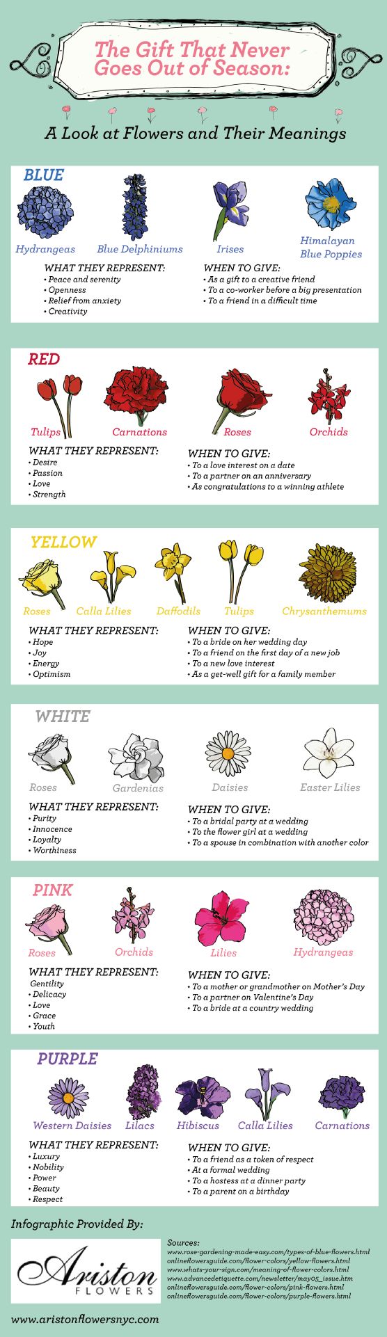 Flowers Their Meanings Infographicnow Com Your Number One Source For Daily Infographics Visual Creativity