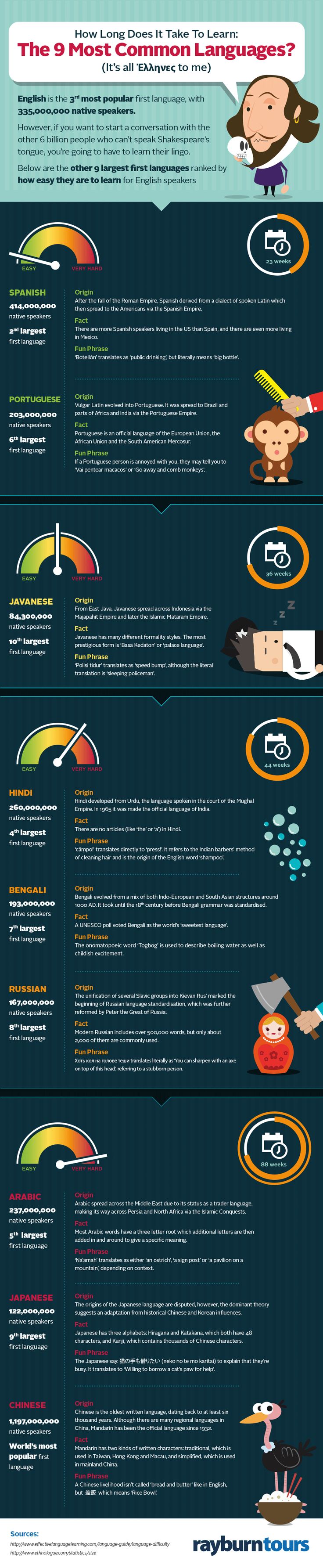 educational-infographic-here-s-how-long-it-takes-to-learn-9-common