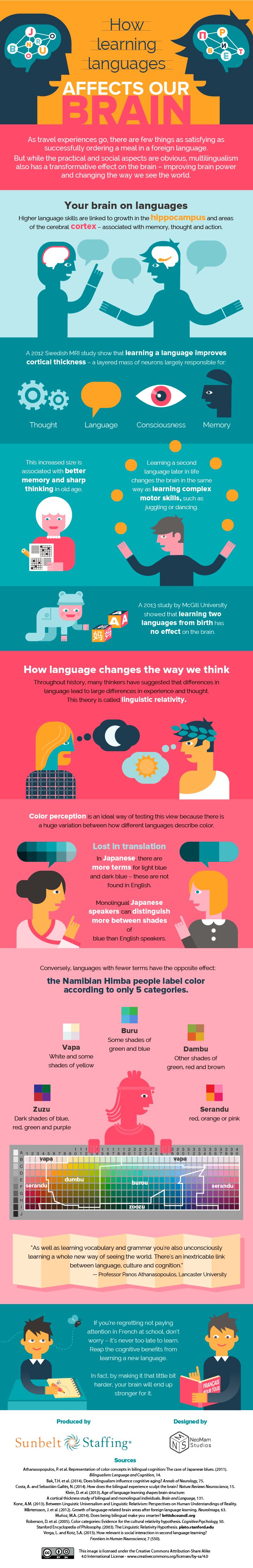 How Does Learning A New Language Affect Your Brain