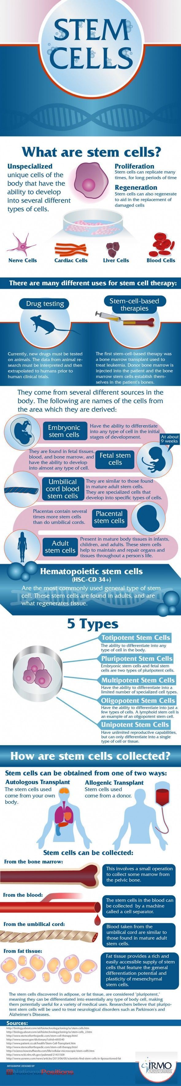Educational infographic : INFOGRAPHIC: not all stem cells are created ...