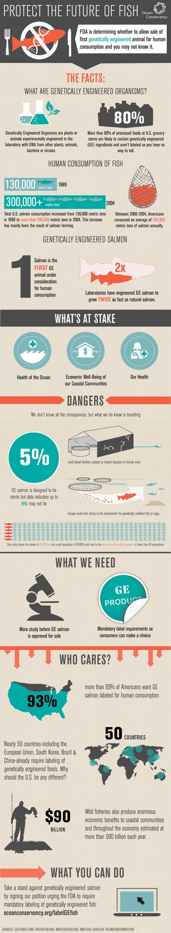 Food infographic - Protect the Future of Fish Infographic GMO fish ...