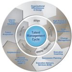 Management : Talent Management Cycle HR RRHH... - InfographicNow.com ...