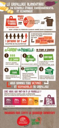 Educational infographic : INFOGRAPHIE - Le gaspillage alimentaire ...