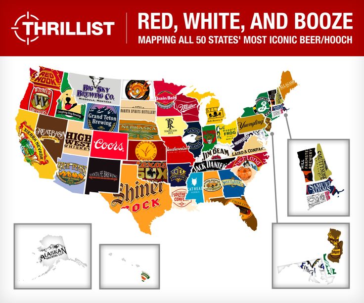 Food Infographic Most Popular Beers By State