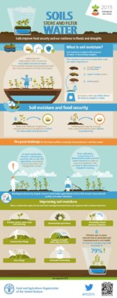 Food infographic - Soils store and filter water - InfographicNow.com ...