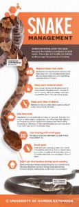 Management : Snake Management Tips - How to keep snakes out of your ...