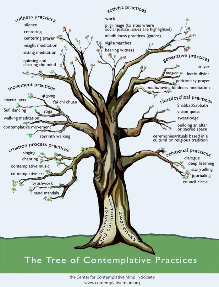 Psychology The Tree of Contemplative Practices... InfographicNow