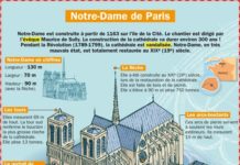 Educational infographic : Notre Dame de Paris - InfographicNow.com ...