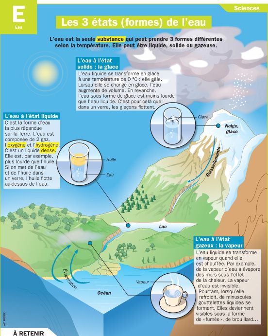 Educational infographic : Les 3 états (formes) de l’eau