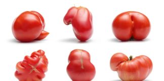 Food infographic – Belle au naturel