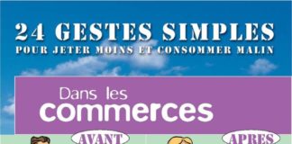 Science infographic – 24gestes_Page_5.jpg (1317×3124)