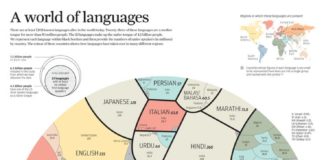 Educational infographic : Vinc3r’s links sur Shaarli.fr