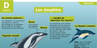 Science infographic – documentaires …