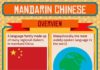 Educational infographic : Educational infographic : Mandarin Chinese – Facts & Infographic
