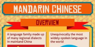 Educational infographic : Educational infographic : Mandarin Chinese – Facts & Infographic