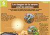 Science infographic – Les dangers de la savane pour les animaux