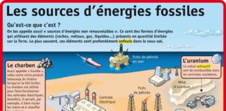 Science infographic – Fiche exposés : Les sources d'énergies fossiles