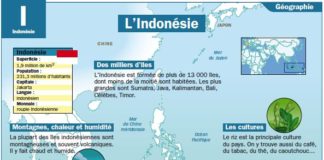 Science infographic – L’Indonésie