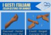 Educational infographic : Infographic: Italian Gestures For Dummies