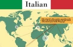 Educational infographic : Italian Language Infographic | Visual.ly