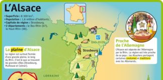 Educational infographic : Fiche exposés : L'Alsace
