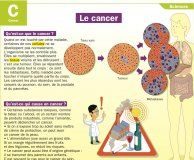 Science infographic – Le cancer – Mon Quotidien, le seul site d'information quotidienne pour les 1…