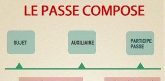 Educational infographic : “grammaire”