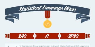 Educational infographic : Statistical Programming Languages Infographic