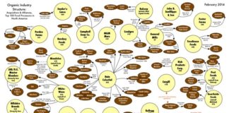 Food infographic – Graphic Evidence: Corporate Organics – 2013