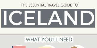 Food infographic – The Essential Travel Guide To Iceland (Infographic)