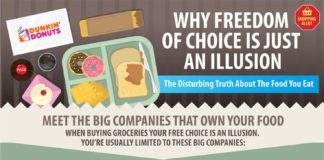 Food infographic – Food Companies Infographic – Conglomerates, Choice