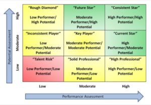 Management : 9 box grid..development board... - InfographicNow.com ...