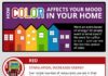 Psychology : How Color Affects Your Mood In Your Home — Did you know that color on your wal…