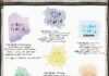 Psychology : Chakra Color Theory + Free Download