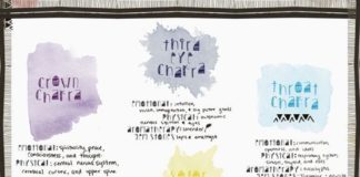 Psychology : Chakra Color Theory + Free Download