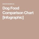 Food infographic - Dog Food Comparison Chart [Infographic