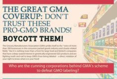Food infographic – These pro-GMO brands hiding behind the Grocery Manufacturers Association (GMA) w…