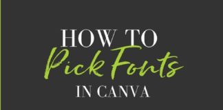 Business infographic : The Ultimate Canva Guide To Choosing Fonts For Your Brand