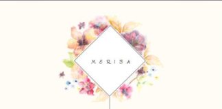 Business infographic : Business infographic : CV simple et design – 2016 Étudiante information – communication – IAE Savoie