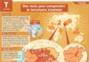 Science infographic – Des mots pour comprendre le terrorisme islamiste – Mon Quotidien, le seul journ…