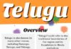 Educational infographic : Educational infographic : Infographic of Telugu Language…