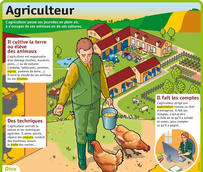 introduction de dissertation sur l'agriculture