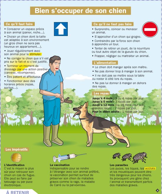 Educational Infographic Fiche Exposés Bien Soccuper De