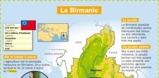 Science infographic – La Birmanie