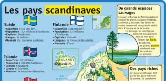 Educational infographic : Fiche exposés : Les pays scandinaves