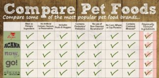 Food infographic – Dog and Cat Food Comparison Chart (Infographic) Please don't feed your pets …