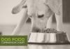 Food infographic – Easy Homemade Dog Food Meal