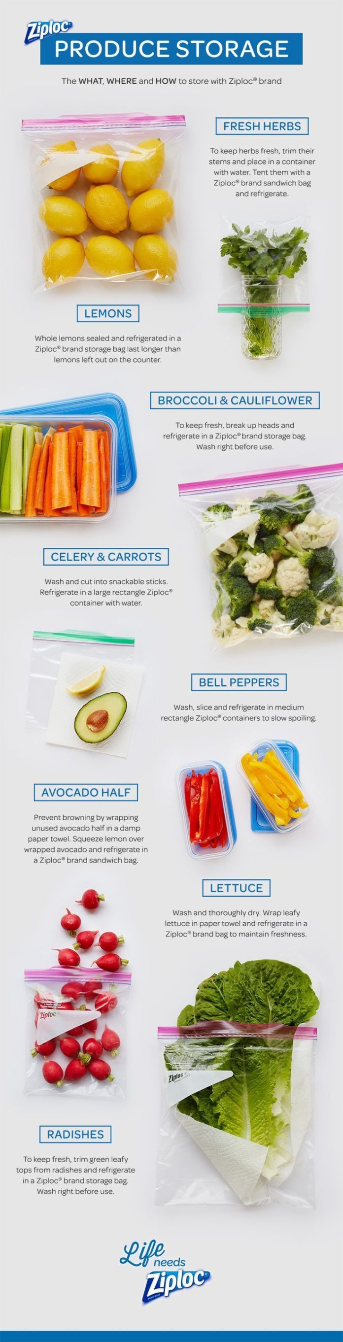 Food infographic - Food infographic Food infographic To bag or not to ...