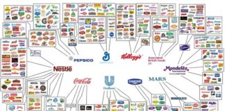 Food infographic – This Infographic Shows How Only 10 Companies Own All The World’s Brands